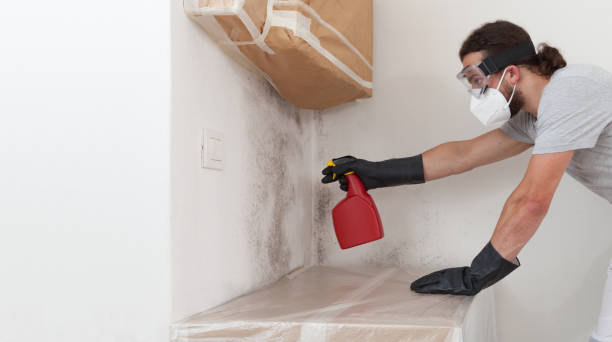 Professional Mold Inspection And Testing technician working in East Waterford, PA